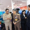 โครงการป้องกันกำจัดโรคพิษสุนัขบ้าเฉลิมพระเกียรติ