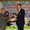  เกษตรอินทรีย์และเกษตรปลอดภัย