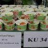 โครงการ KU Night Eat & Read (14 พ.ย.62)