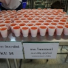 โครงการ KU Night Eat & Read (14 พ.ย.62)