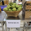 โครงการ KU Night Eat & Read (15 พ.ย.62)