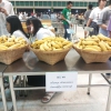 โครงการ KU Night Eat & Read (16 พ.ย.62)
