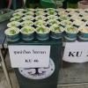 โครงการ KU Night Eat & Read (17 พ.ย.62)