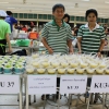 โครงการ KU Night Eat & Read (17 พ.ย.62)