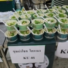 โครงการ KU Night Eat & Read (17 พ.ย.62)