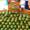 ตลาดนัดบองมาร์เช่ ​