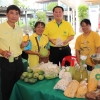 ตลาดนัดบองมาร์เช่ ​