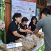 เห็ดเป็นยา