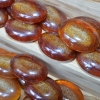 เห็ดเป็นยา