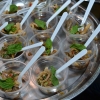 เห็ดเป็นยา