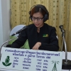 เห็ดเป็นยา